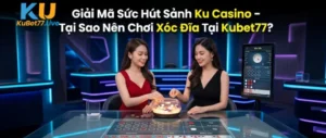 Giải Mã Sức Hút Sảnh Ku Casino - Tại Sao Nên Chơi Xóc Đĩa Tại Kubet77?