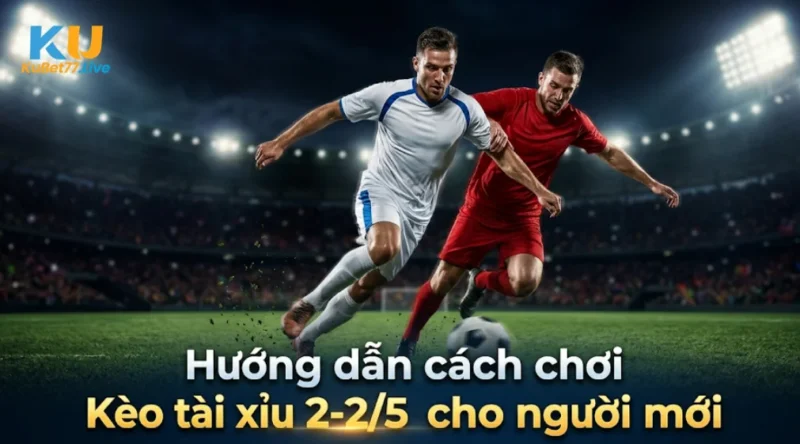 Hướng dẫn cách chơi Kèo tài xỉu 2-2/5 cho người mới