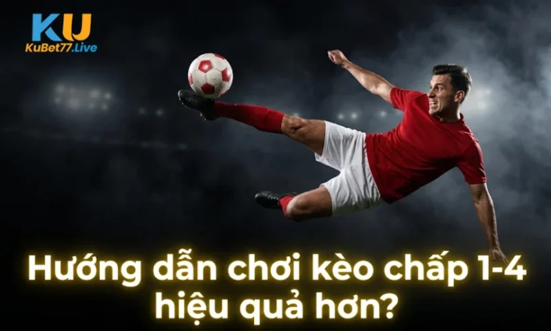 Hướng dẫn chơi kèo chấp 1-4 hiệu quả hơn?