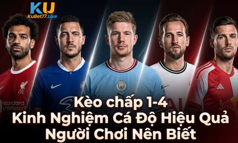 Kèo chấp 1-4 Kinh Nghiệm Cá Độ Hiệu Quả Người Chơi Nên Biết