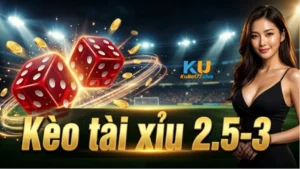 Kèo tài xỉu 2.5-3: Hướng Dẫn Cách Đọc Và Tính Tiền Chính Xác