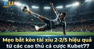 Mẹo bắt kèo tài xỉu 2-2/5 hiệu quả từ các cao thủ cá cược Kubet77