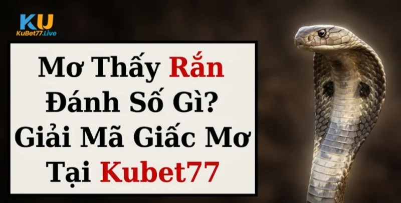 Mơ Thấy Rắn Đánh Số Gì? Giải Mã Giấc Mơ Tại Kubet77