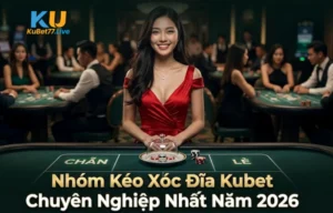 Nhóm Kéo Xóc Đĩa Kubet Chuyên Nghiệp Nhất Năm 2026